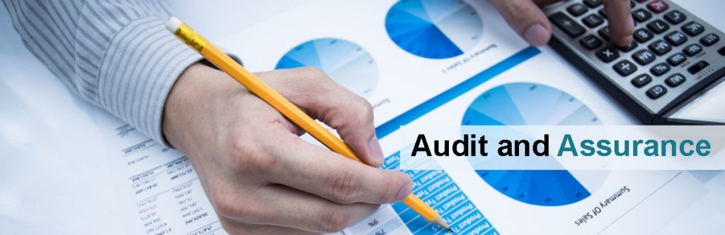 Beyond the Numbers: Strengthening Trust Through Auditing and Assurance